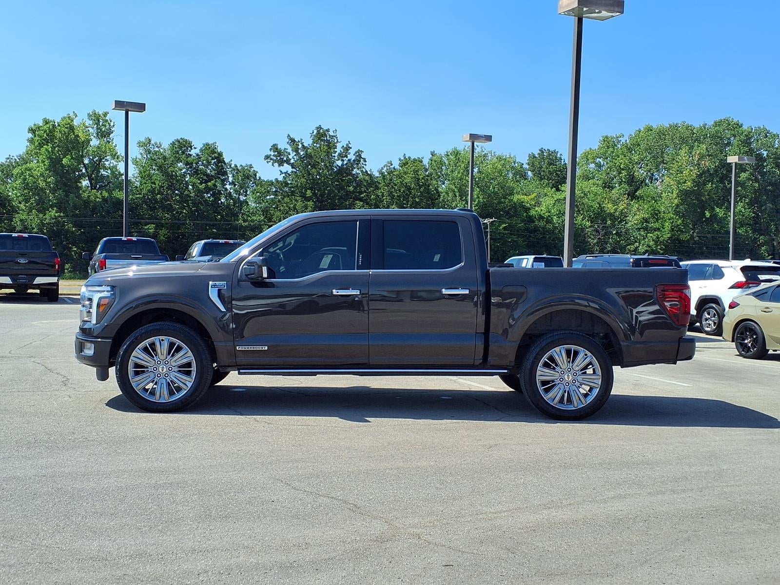 2024 Ford F-150 Platinum