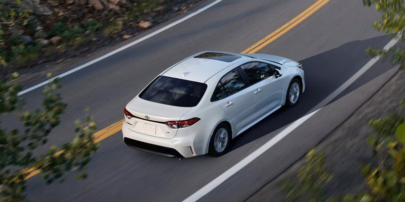 White 2025 Corolla Hybrid